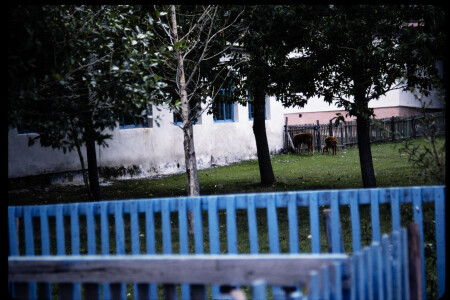 199309 - 199309_16_16