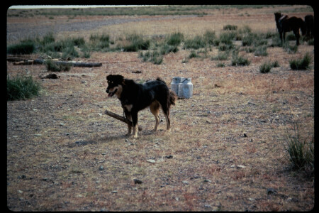 199310 - 199310_01_10