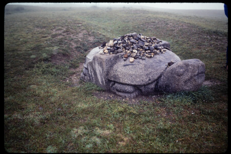 199310 - 199310_07_07