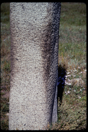199310 - 199310_08_07