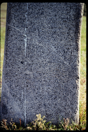199310 - 199310_08_15