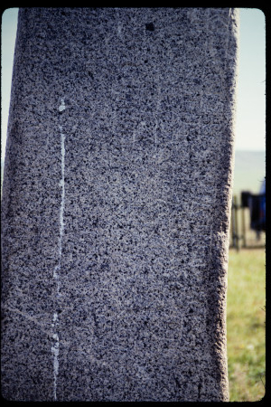 199310 - 199310_08_16