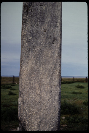 199310 - 199310_10_19