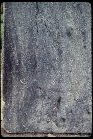 199310 - 199310_10_20