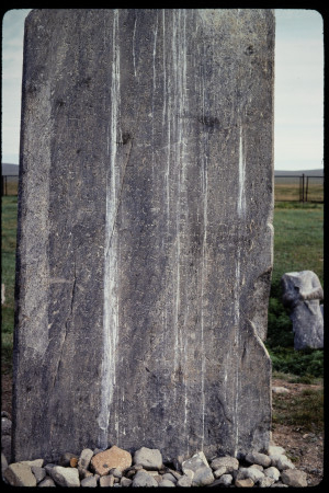 199310 - 199310_11_13