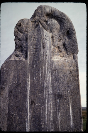 199310 - 199310_11_14