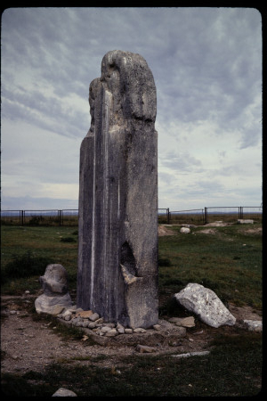 199310 - 199310_11_15