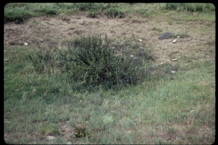 199310 - 199310_12_02