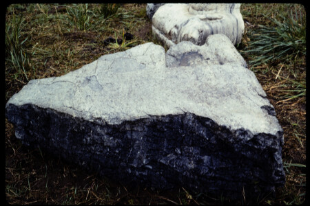 199310 - 199310_12_20