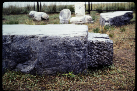 199310 - 199310_13_12