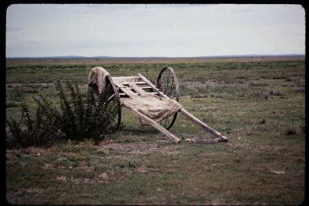 199311 - 199311_02_15