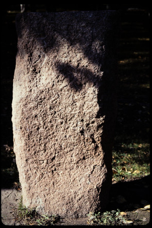 199311 - 199311_03_20