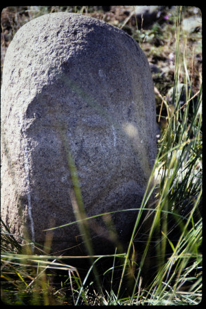 199311 - 199311_04_13