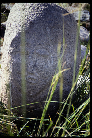 199311 - 199311_04_14