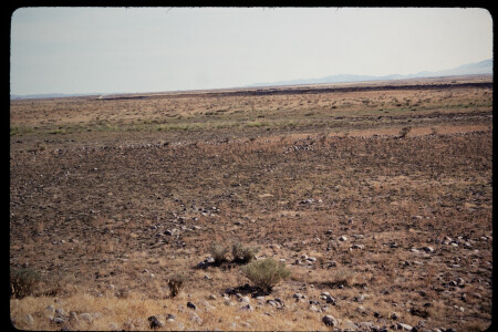 199311 - 199311_05_10