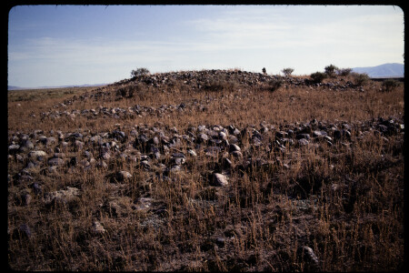 199311 - 199311_05_11