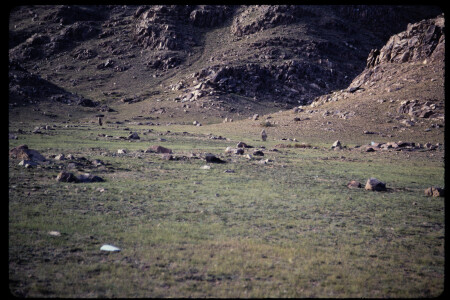199311 - 199311_05_14