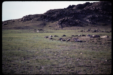 199311 - 199311_05_16