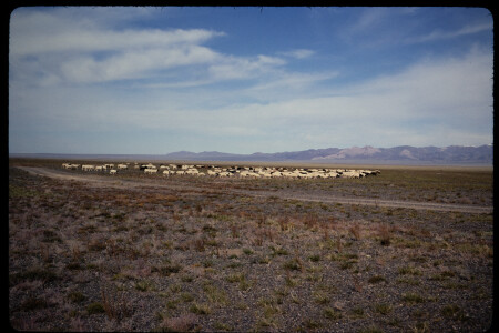 199311 - 199311_07_10