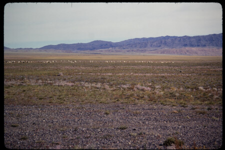 199311 - 199311_07_16
