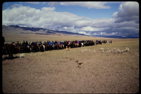 199311 - 199311_10_13
