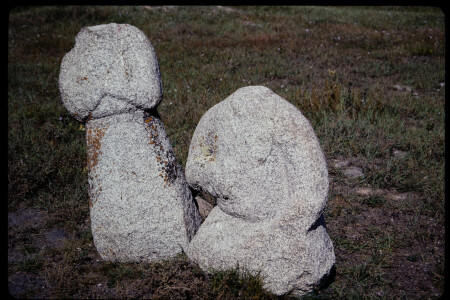 199311 - 199311_11_02