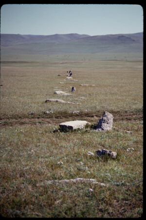 199311 - 199311_11_16