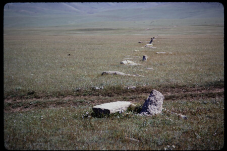 199311 - 199311_11_17
