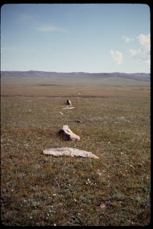 199311 - 199311_12_01
