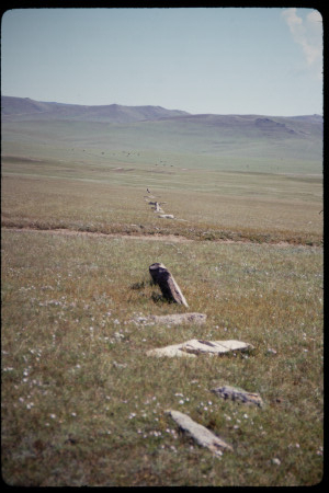 199311 - 199311_12_03