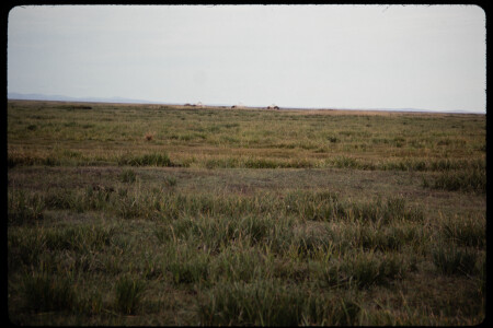 199311 - 199311_13_18