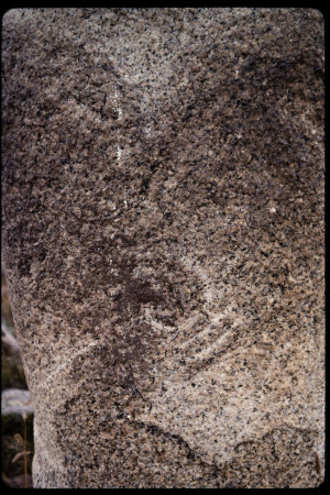 199311 - 199311_15_01