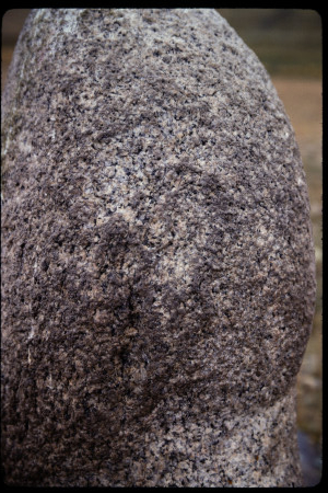 199311 - 199311_15_02