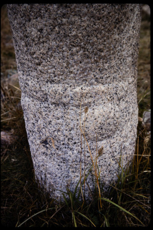 199311 - 199311_15_04