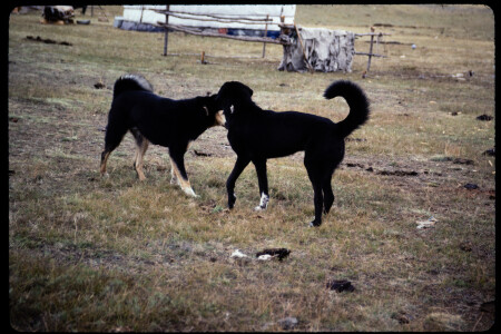 199311 - 199311_16_01