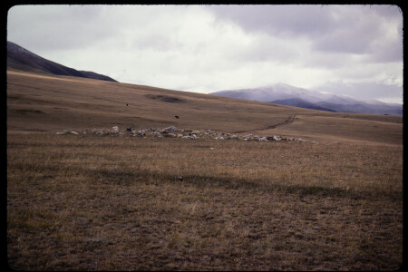 199311 - 199311_16_04