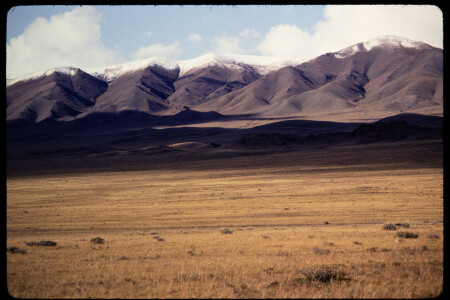 199311 - 199311_17_12