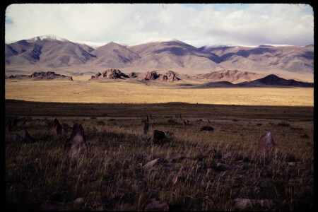 199311 - 199311_17_20