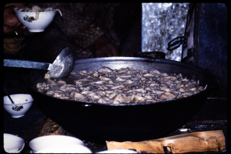 199311 - 199311_18_05
