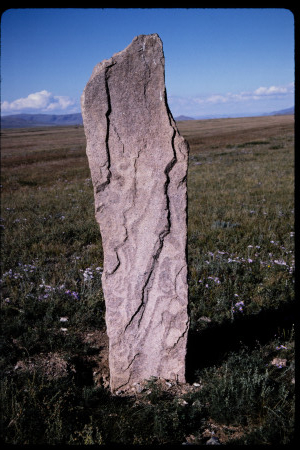 199501 - 199501_01_15