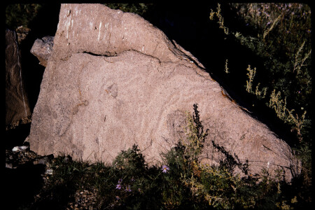 199501 - 199501_02_11
