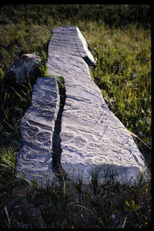 199501 - 199501_02_12