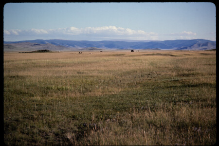 199501 - 199501_02_16