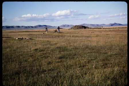 199501 - 199501_02_17