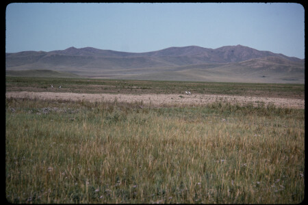 199501 - 199501_03_13