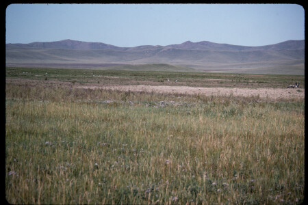 199501 - 199501_03_14