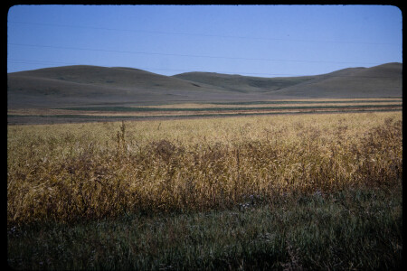 199501 - 199501_04_12
