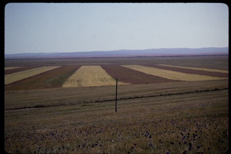 199501 - 199501_04_15