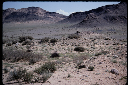 199501 - 199501_05_01