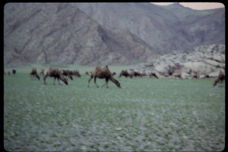 199501 - 199501_05_02